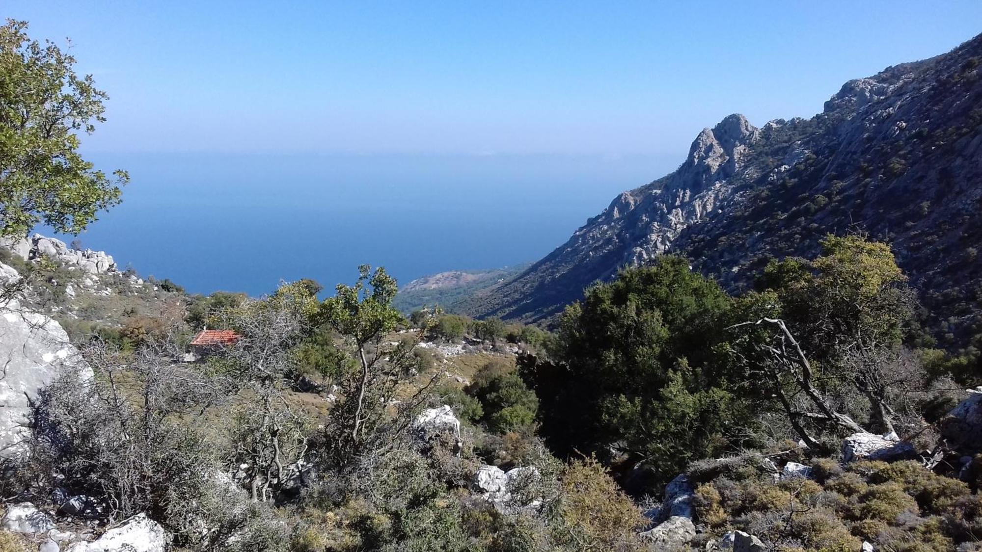 Zorbas Apartments Βολισσός Εξωτερικό φωτογραφία