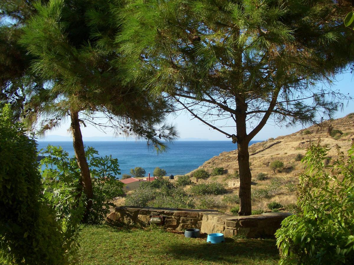 Zorbas Apartments Βολισσός Εξωτερικό φωτογραφία