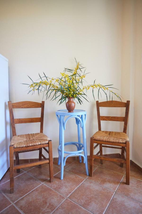 Zorbas Apartments Βολισσός Εξωτερικό φωτογραφία