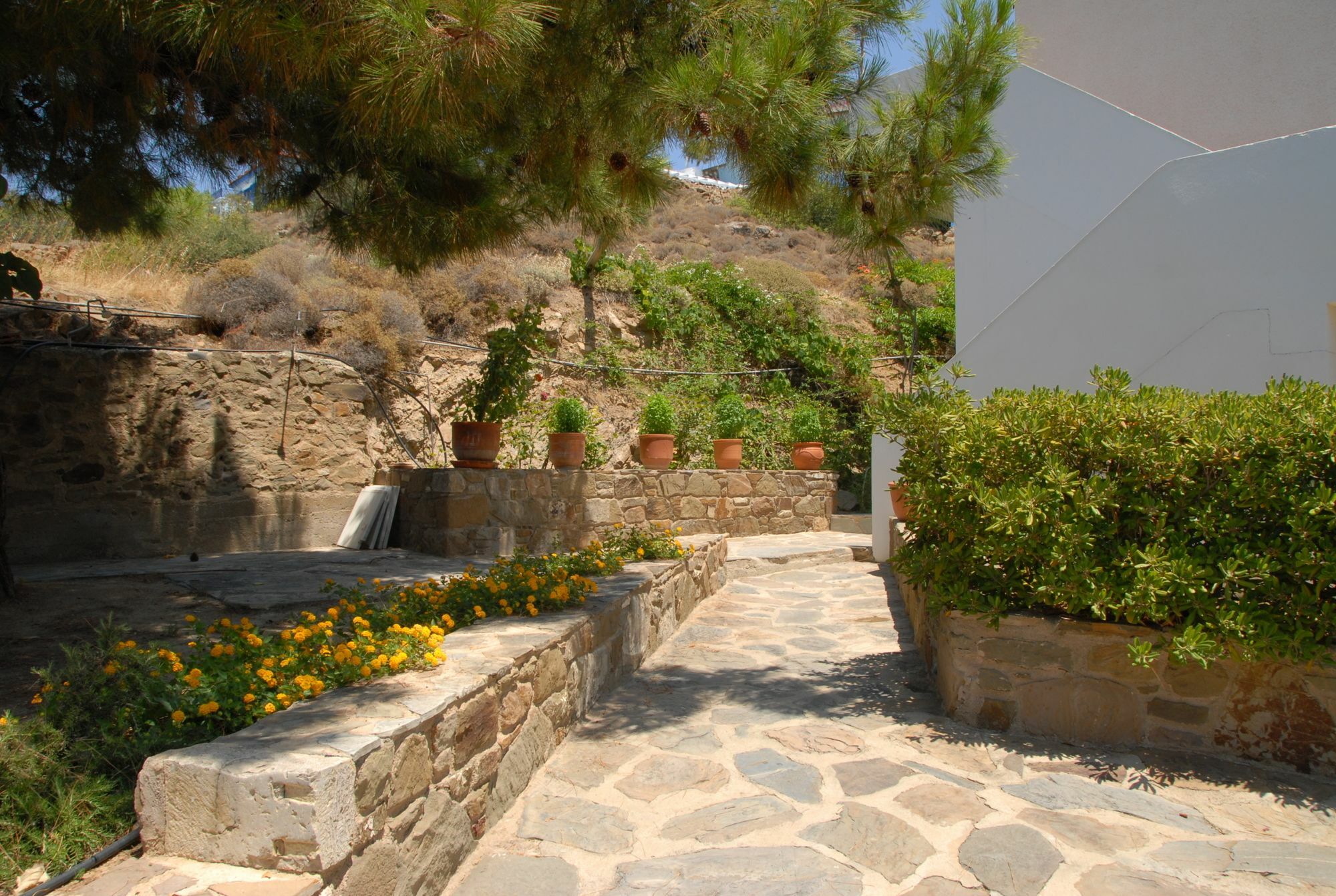 Zorbas Apartments Βολισσός Εξωτερικό φωτογραφία